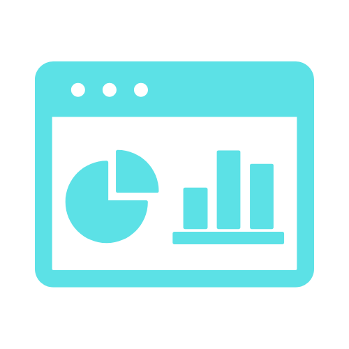 Custom Business Intelligence Dashboards