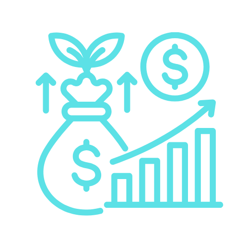 ROI-Focused Approach and Revenue Growth